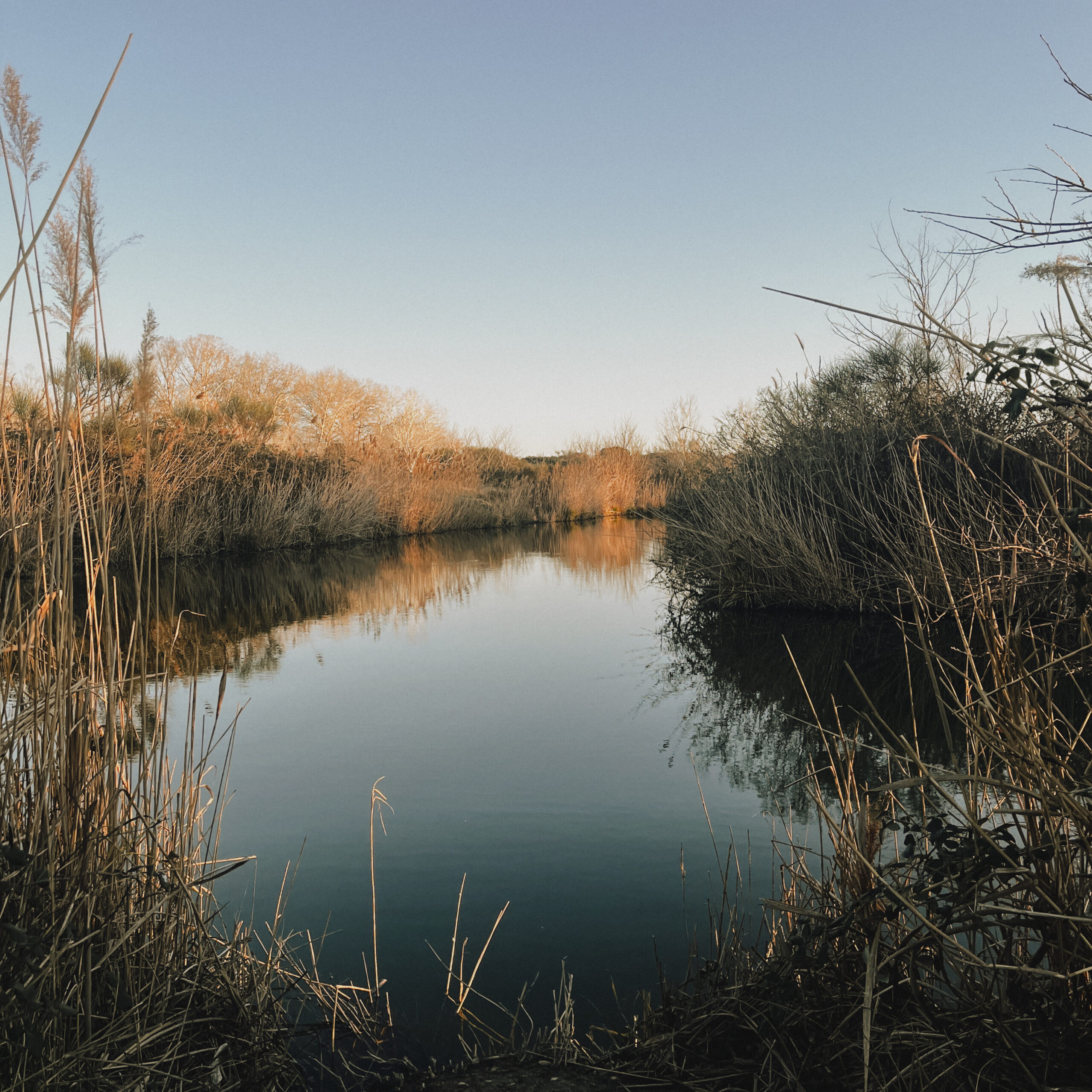 Pafpaf Production Camargue Etang Exterieur