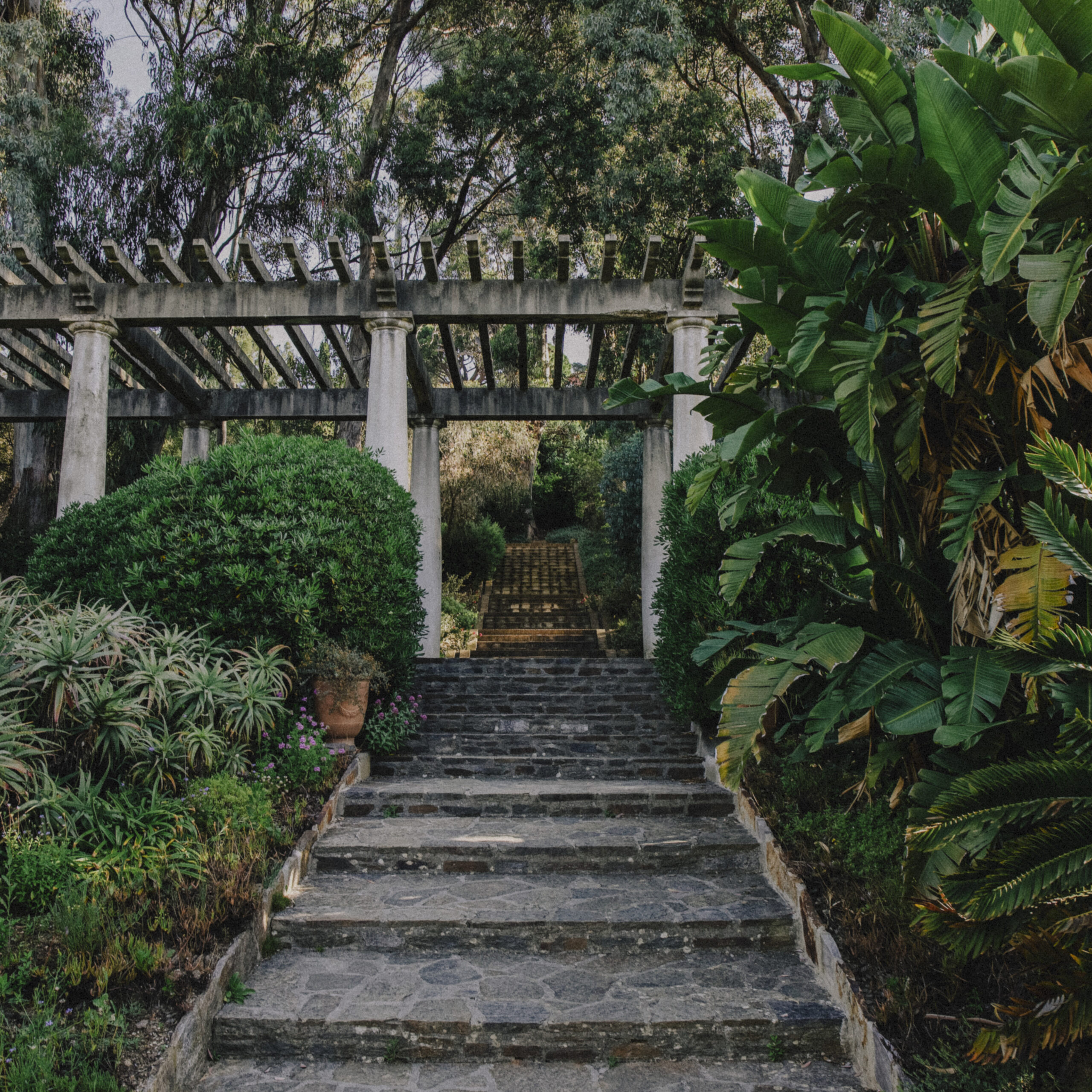 Pafpaf Production Sud Marseille Nature Escaliers