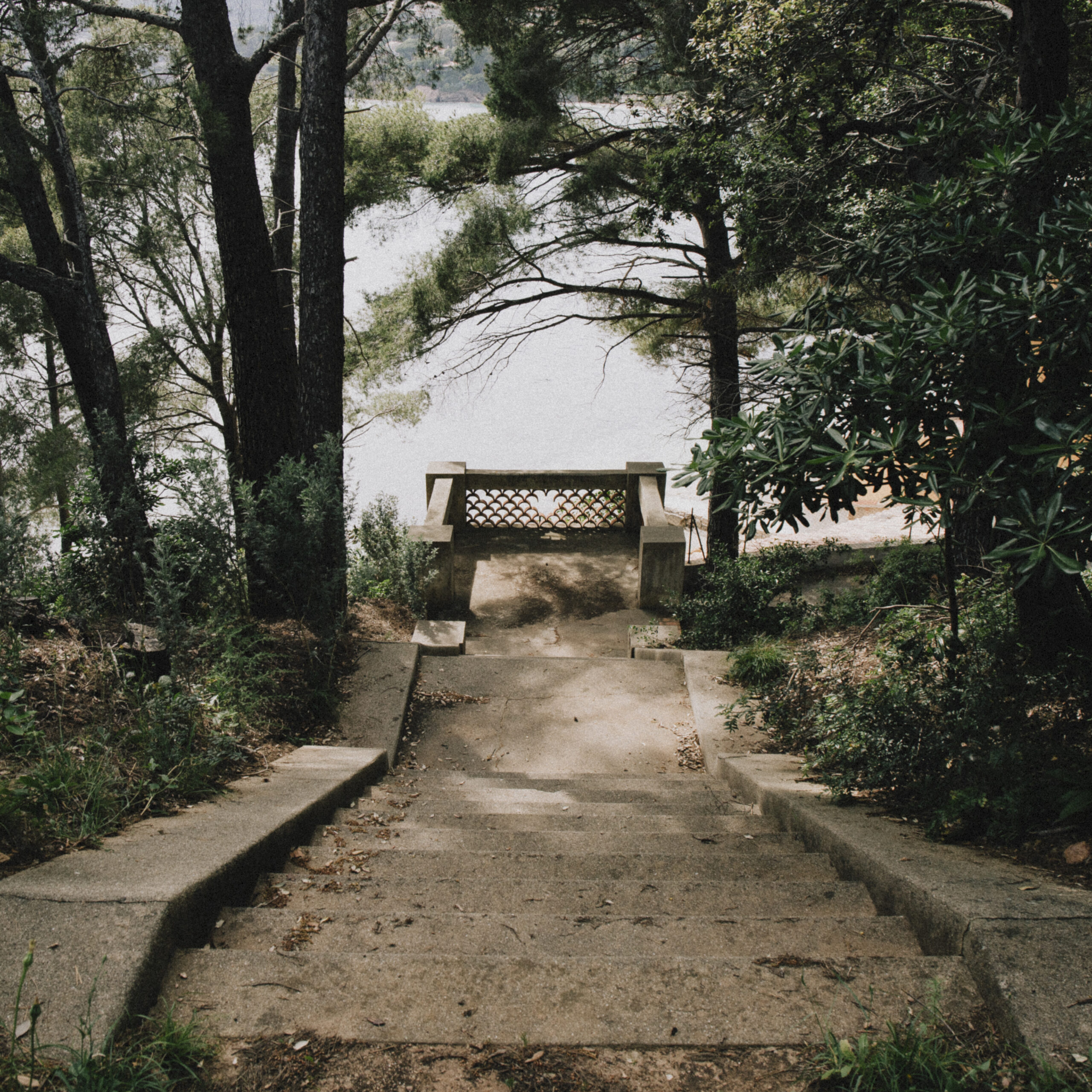 Pafpaf Production Sud Nature Arbres