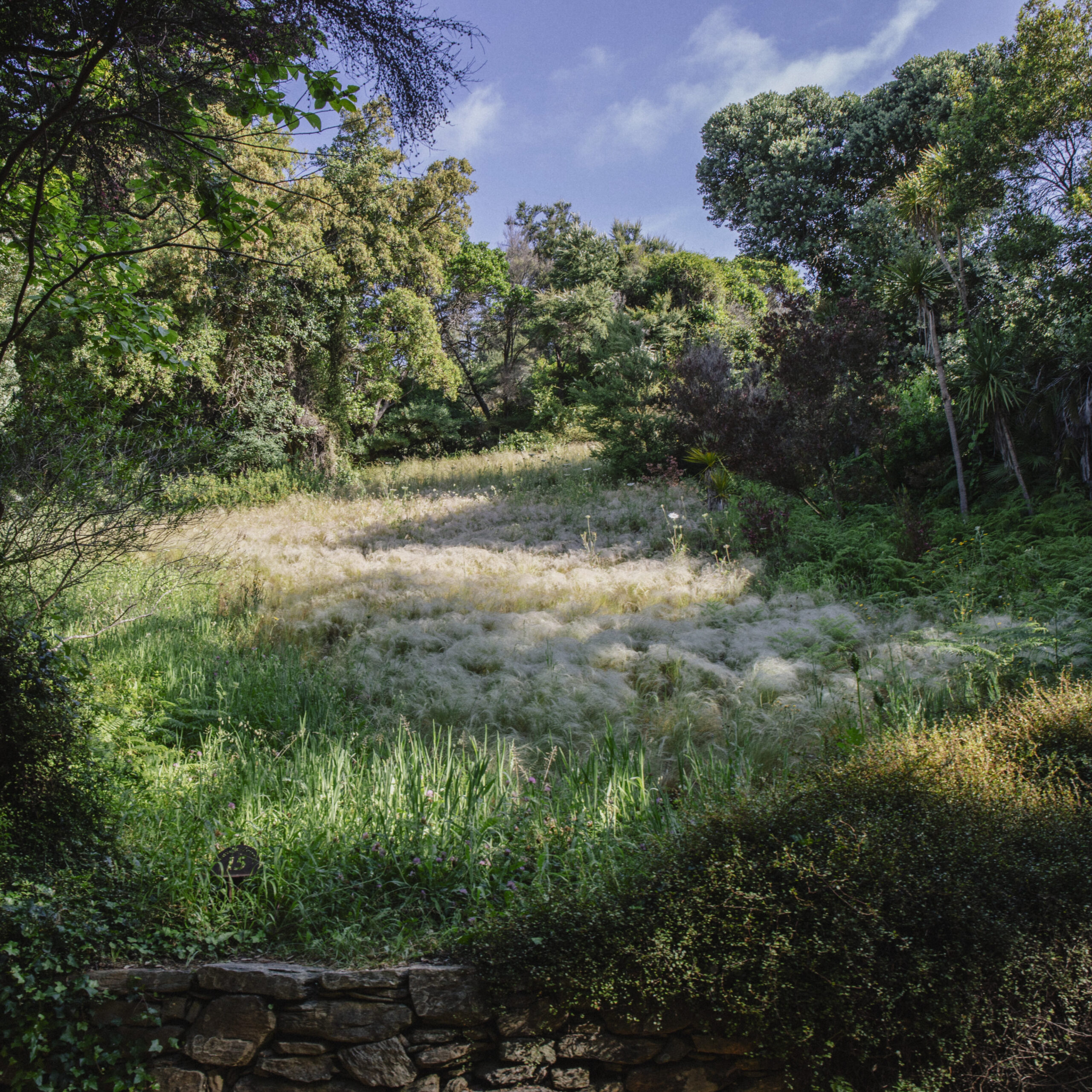 Pafpaf Production Sud Nature Foret Exterieur